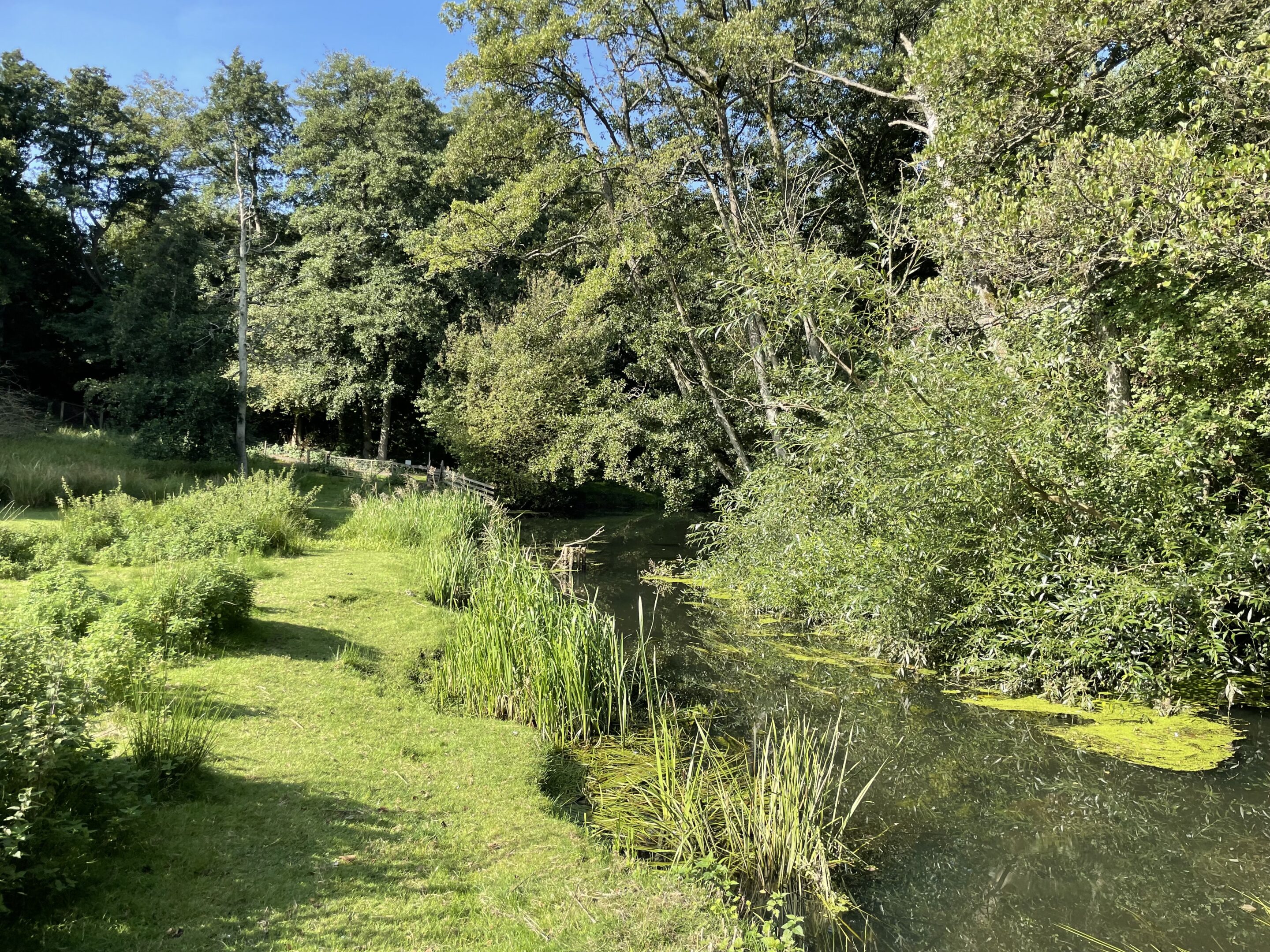 Dykarledning med PPS för spillvatten i naturreservat i Helsingborg