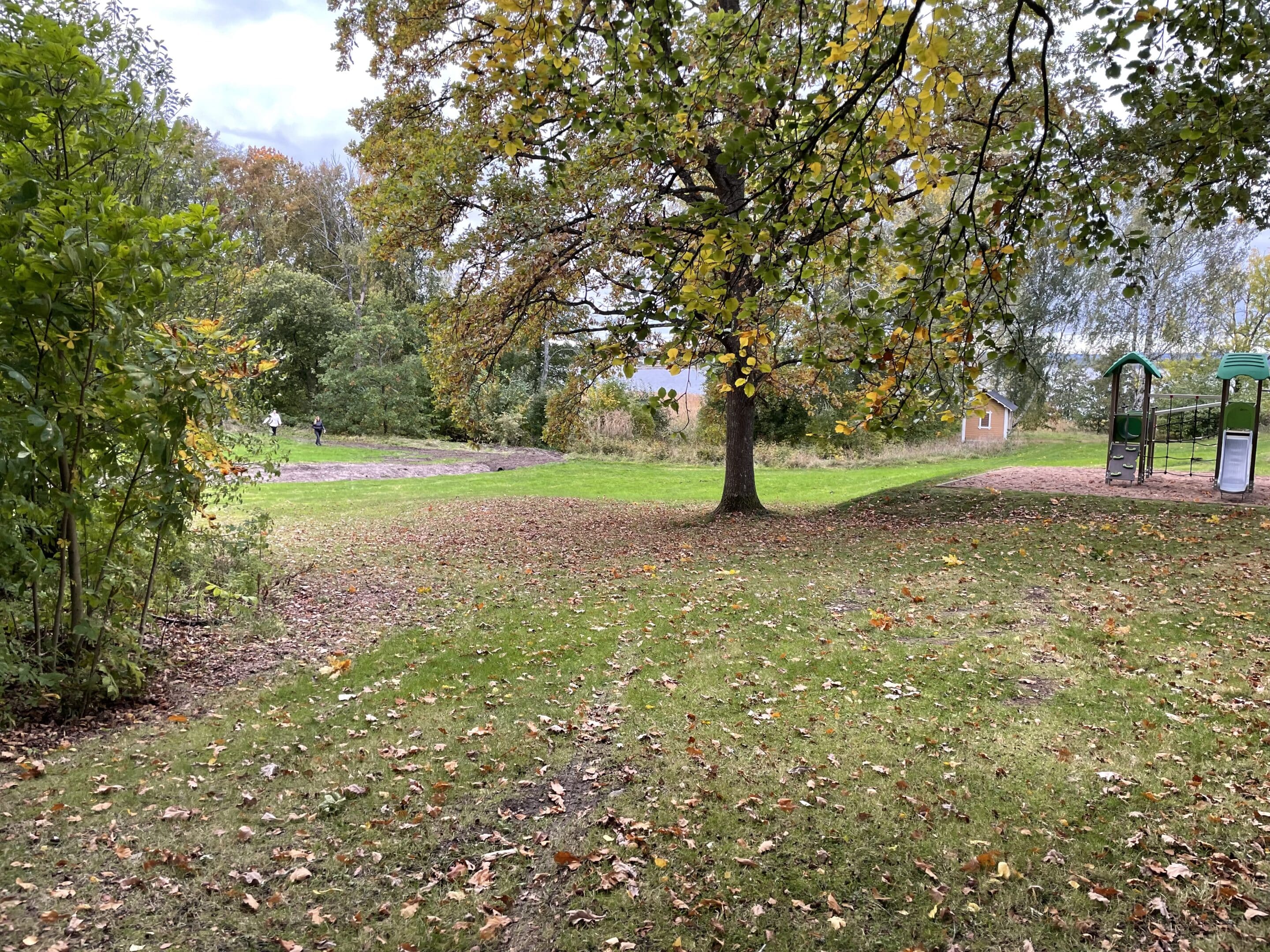 Renovering av gammalt renspumpsystem